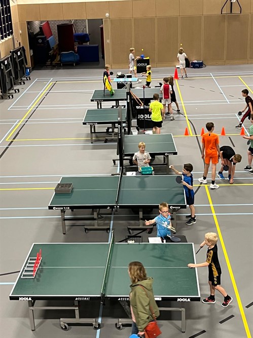 Ttmiddag 20260520 19
